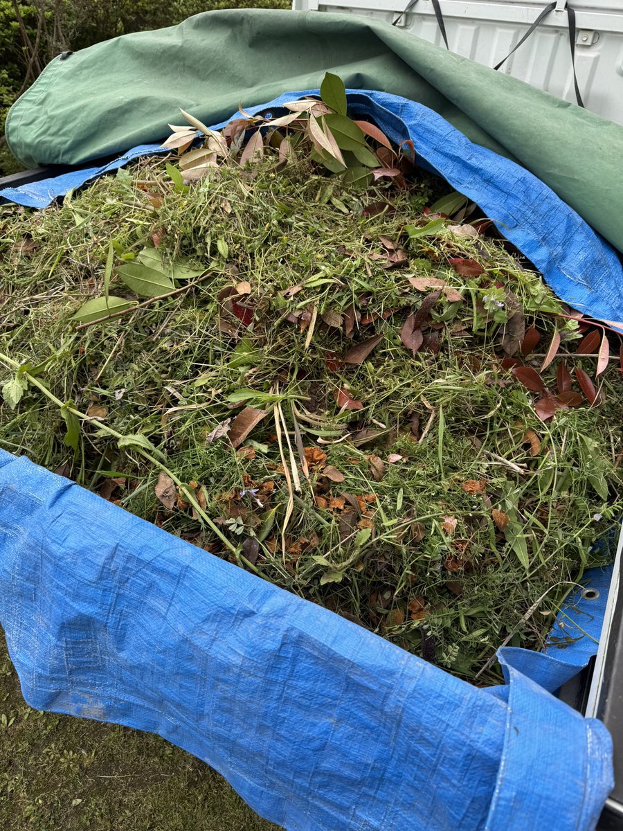 ノリやん tweet media