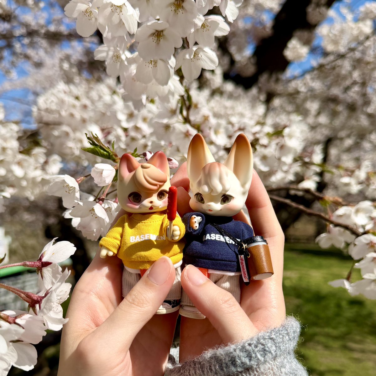 フランクフルトに夢中な2人🌸
🐱🌭🫲🦊｛ ひと口ちょうだい!
#kumukuku