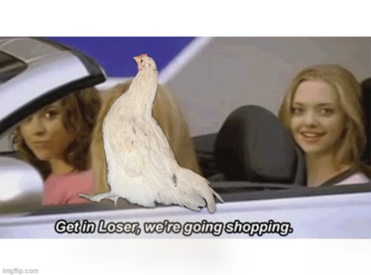 Josiah Botting tweet media