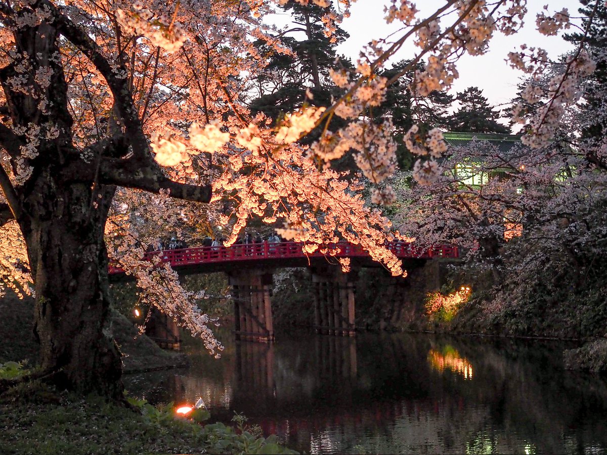 ゆふ (@mofwjiitsajigxn) on Twitter photo 