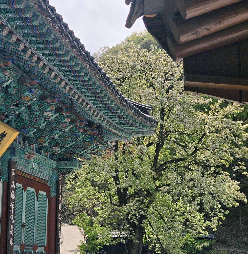 혁2 🐚 tweet media