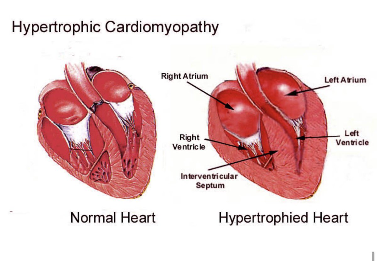 Gozye cowries ubasom tweet media