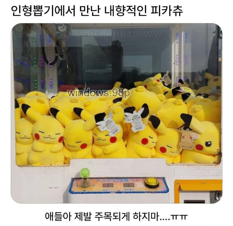 MC호랭이 tweet media