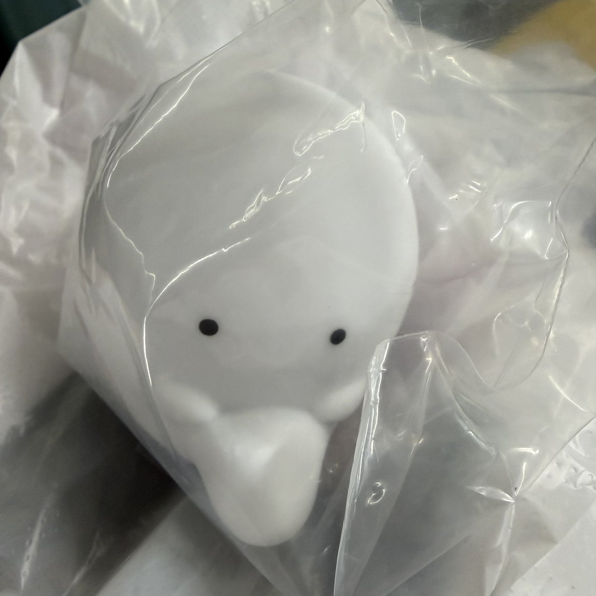 tr☀️（固ツイ確認お願いします） tweet media