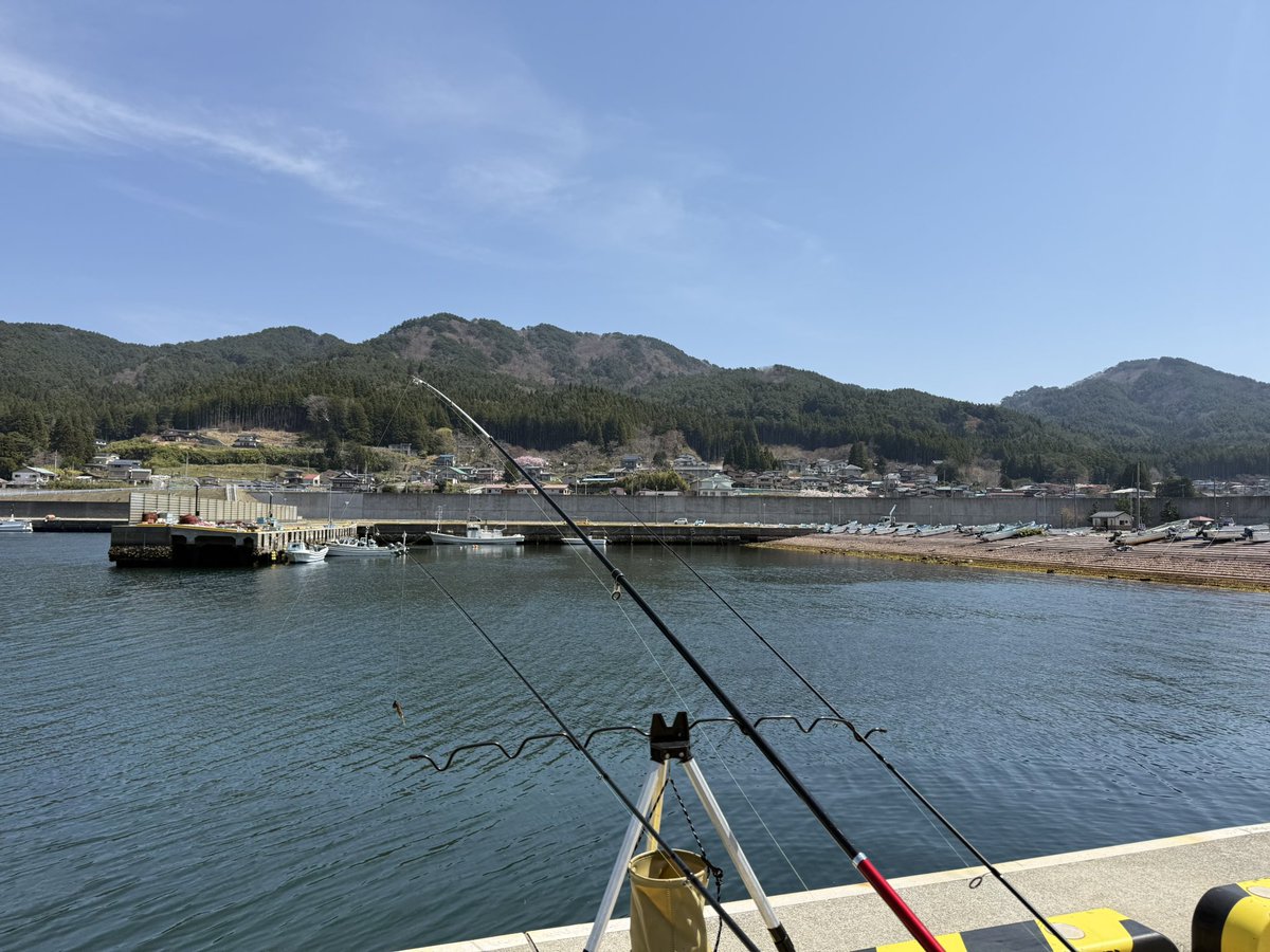 ななあーる🍑🥟🐏 tweet media