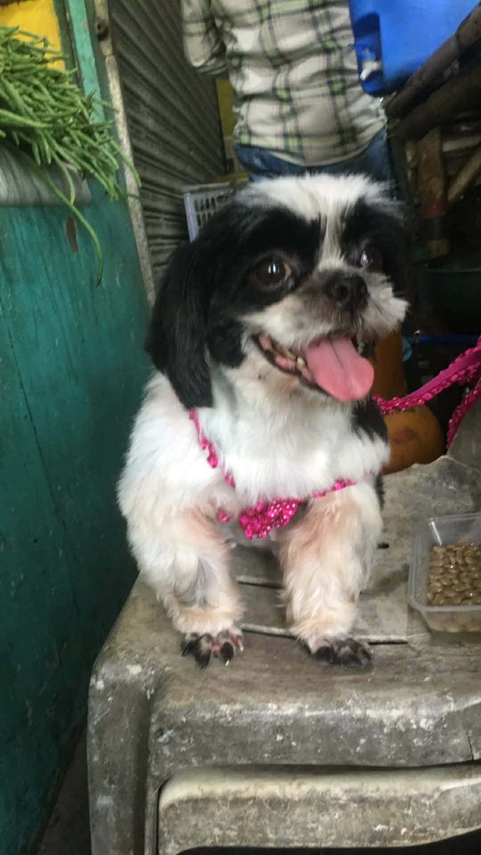 MSADnica tweet media