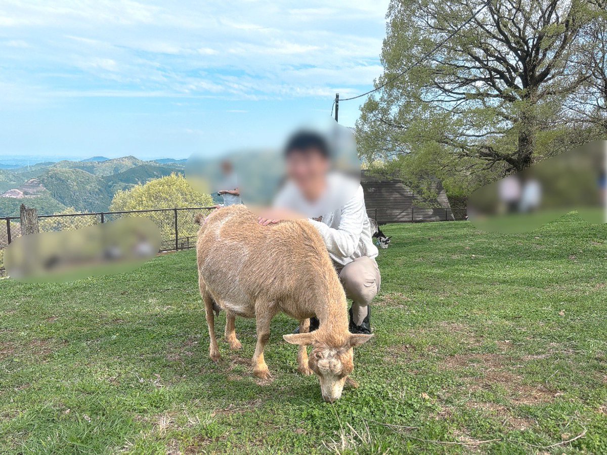 まま_MamaptyMarket tweet media