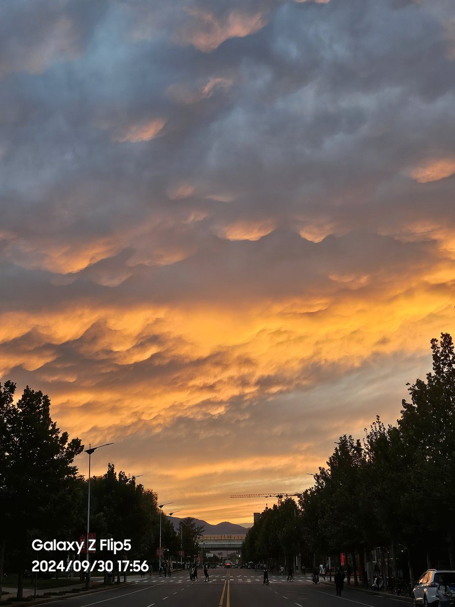 热带鱼 tweet media