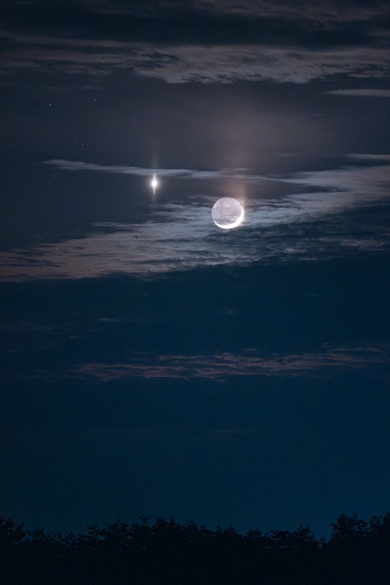 星の観察館「満天星」 tweet media