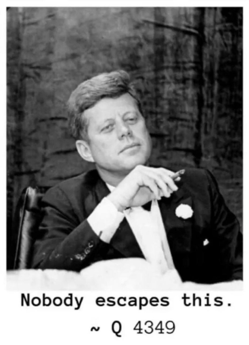 John Jr. Kennedy tweet media