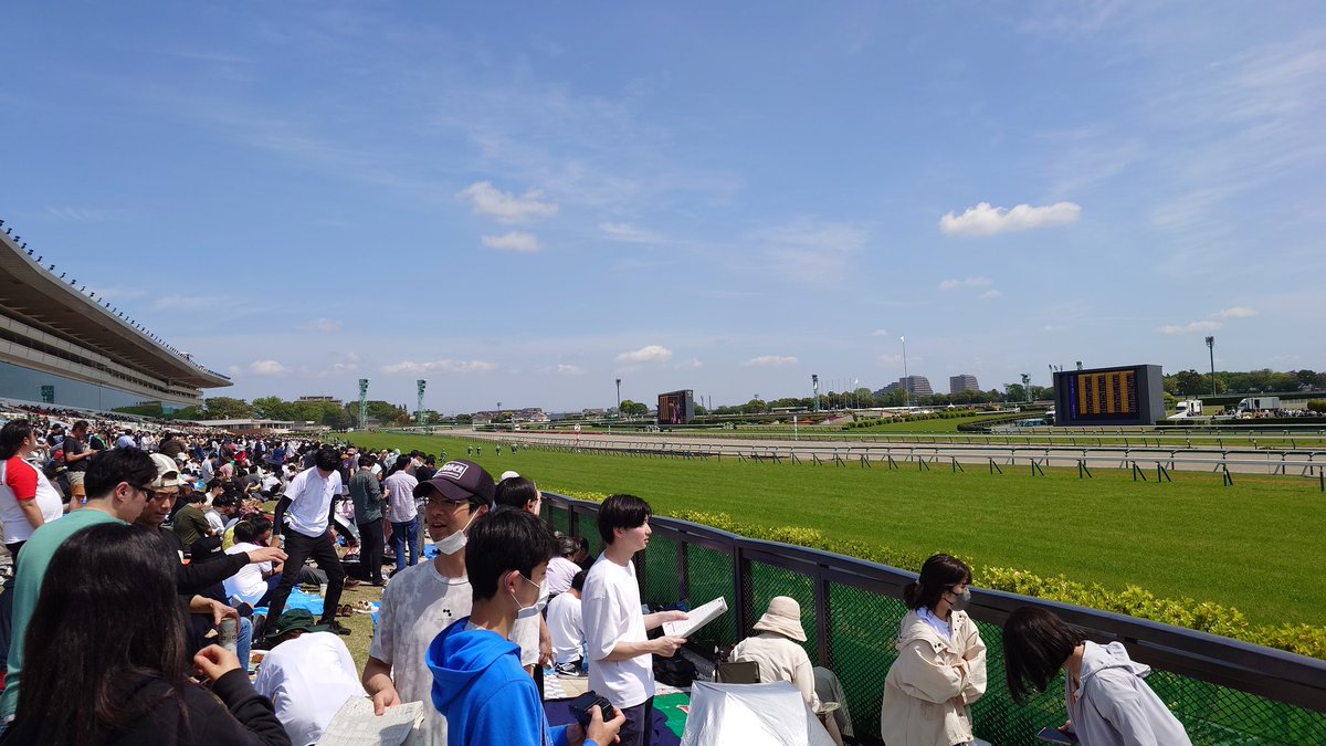 ハナテン(3連複激アツ君) tweet media