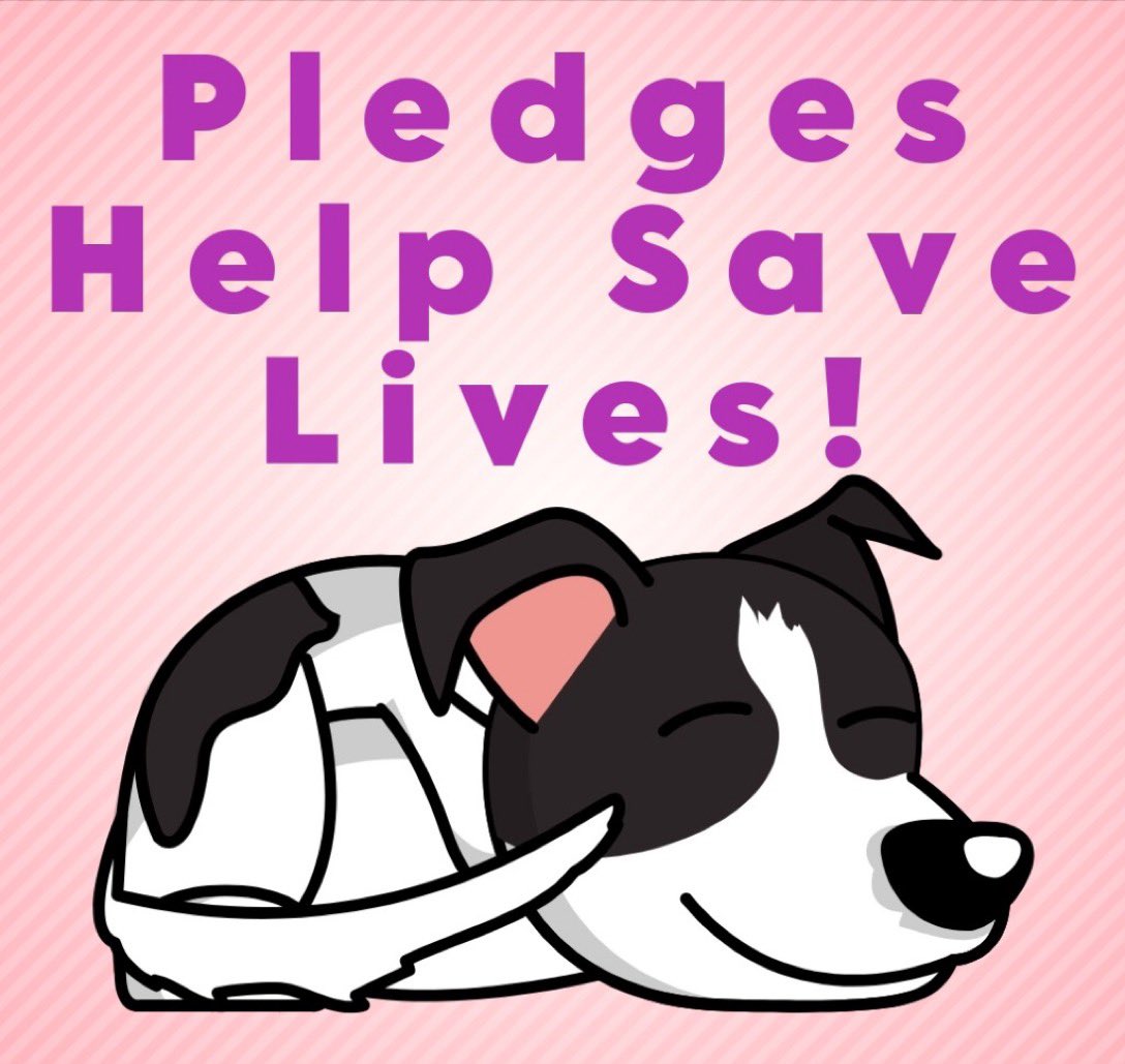 Wynjym's tweet image. 🆘THE #KILL_LISTS ARE BECOMING EX-LARGE &amp;amp; THE #COMPANION #PETS ARE JUST GIVEN NO REASONABLE CHANCE OF #RESCUE WITH ABSOLUTELY NO TIME TO FIND #PLEDGES LET ALONE #ADOPTERS OR #FOSTERS🆘THE #NYC #TAXPAYERS ARE BEING DECEIVED BY @NYCACC, #DOH OFFICIALS &amp;amp; OTHERS🆘THIS NEEDS TO STOP‼️