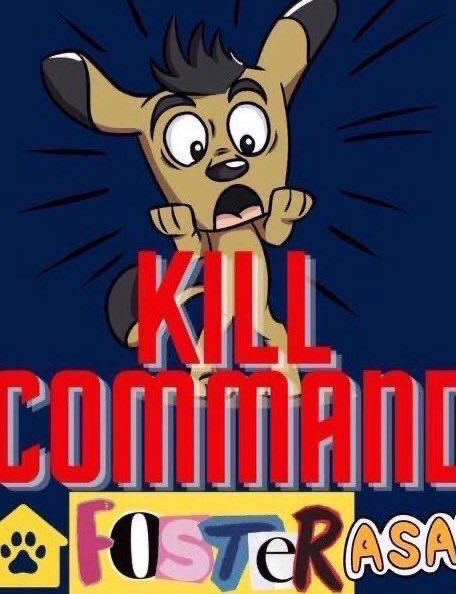 Wynjym's tweet image. 🆘THE #KILL_LISTS ARE BECOMING EX-LARGE &amp;amp; THE #COMPANION #PETS ARE JUST GIVEN NO REASONABLE CHANCE OF #RESCUE WITH ABSOLUTELY NO TIME TO FIND #PLEDGES LET ALONE #ADOPTERS OR #FOSTERS🆘THE #NYC #TAXPAYERS ARE BEING DECEIVED BY @NYCACC, #DOH OFFICIALS &amp;amp; OTHERS🆘THIS NEEDS TO STOP‼️