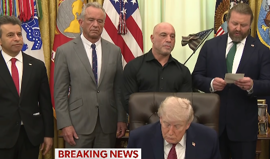 Brown Eyed Susan tweet media