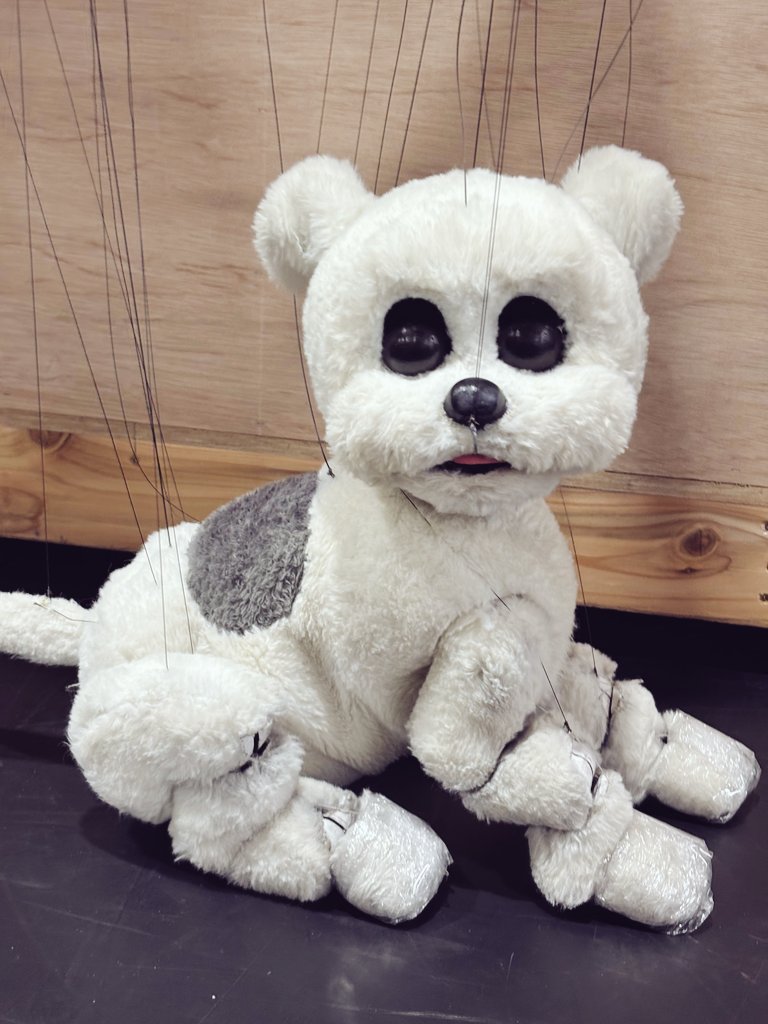 『BOOP!TheMusical』

今回操演させてもらうパジー🐕️です！つぶらな目で見ております。
東京→大阪→福岡を走り抜けます！
皆さまぜひ観に来てね🫶ワン！

HP ▶︎ umegei.com/boop2026/
#boopthemusical
#hubermarionettes