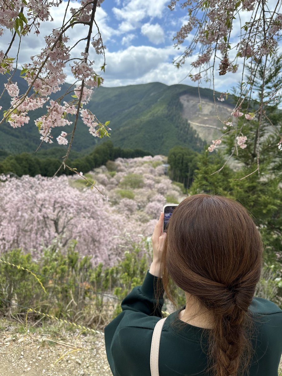 きぬしょう tweet media