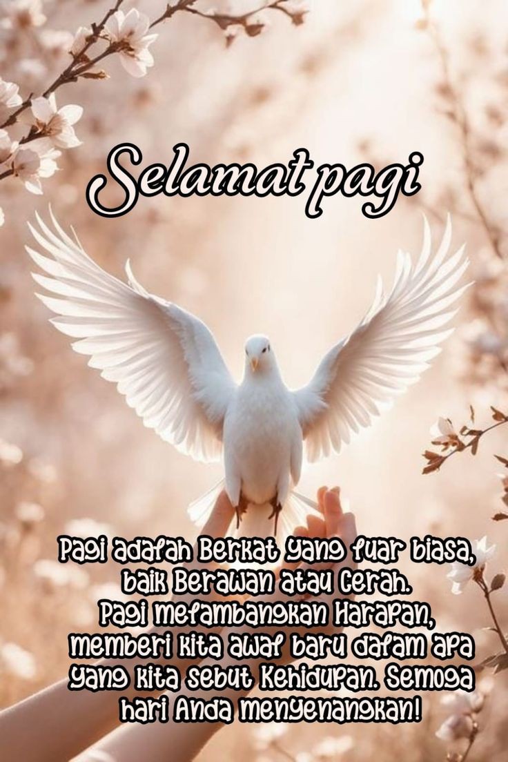 quez_II tweet picture