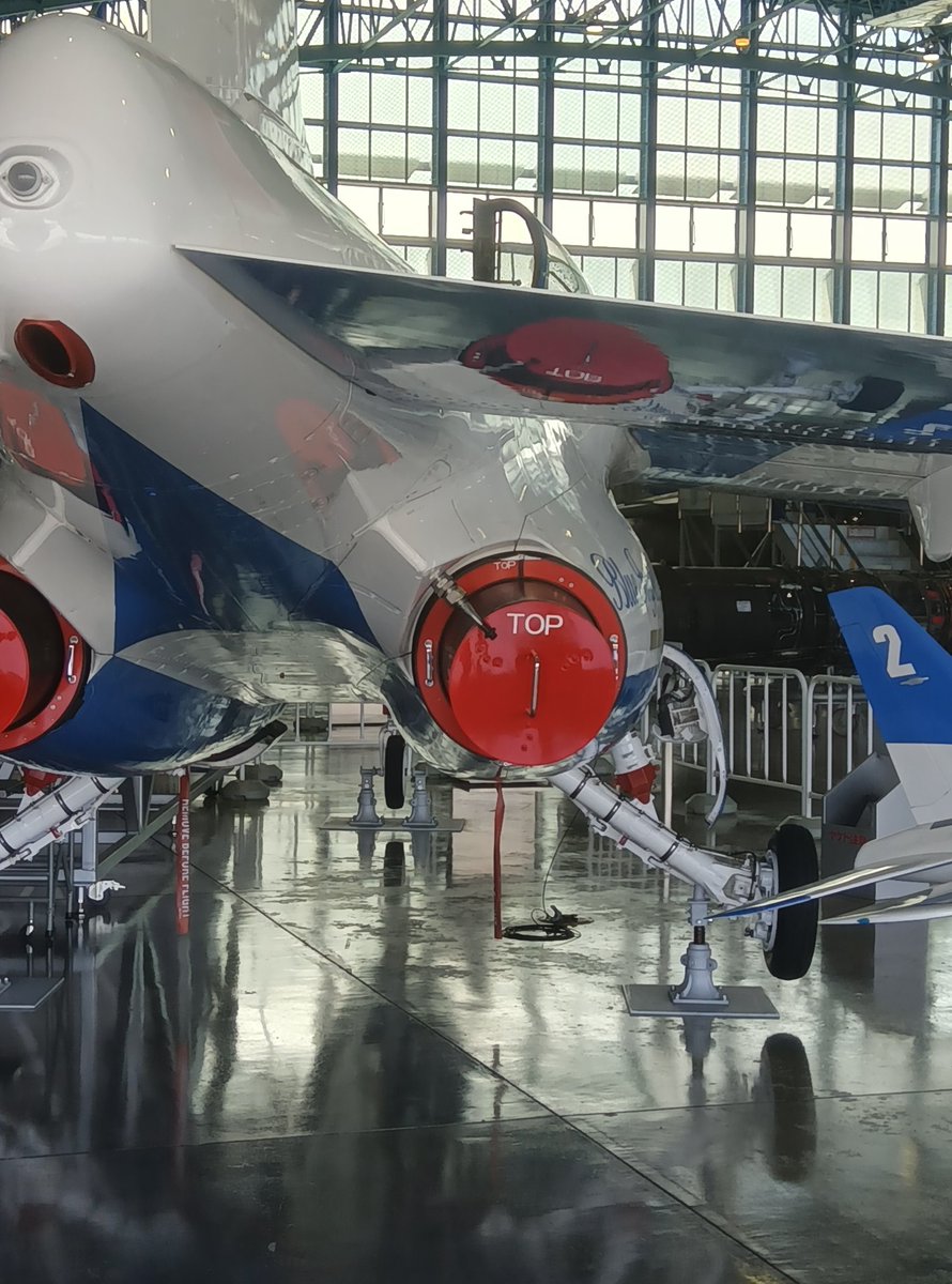 naeroled(デロリアン念力民間治療) tweet media