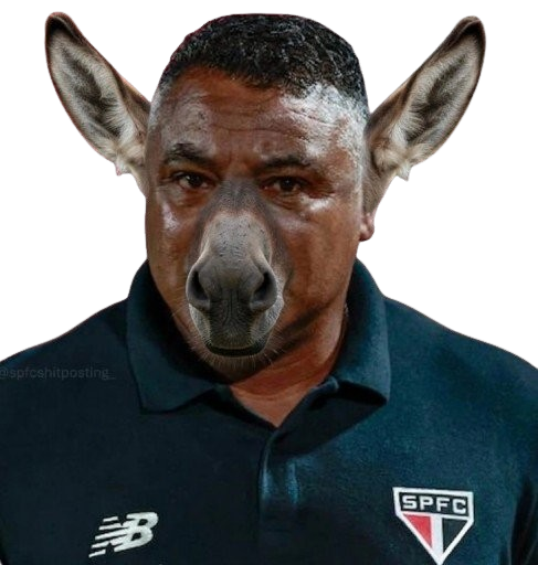 Tiago BOB 🇧🇷 tweet media