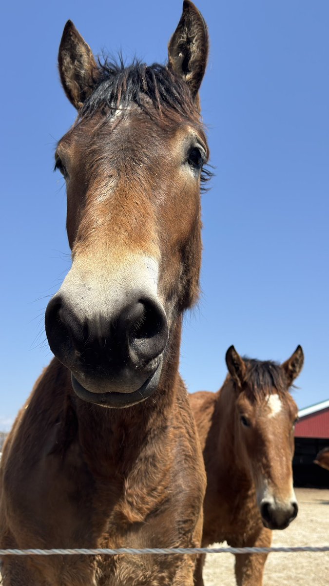 また来ちゃった♡