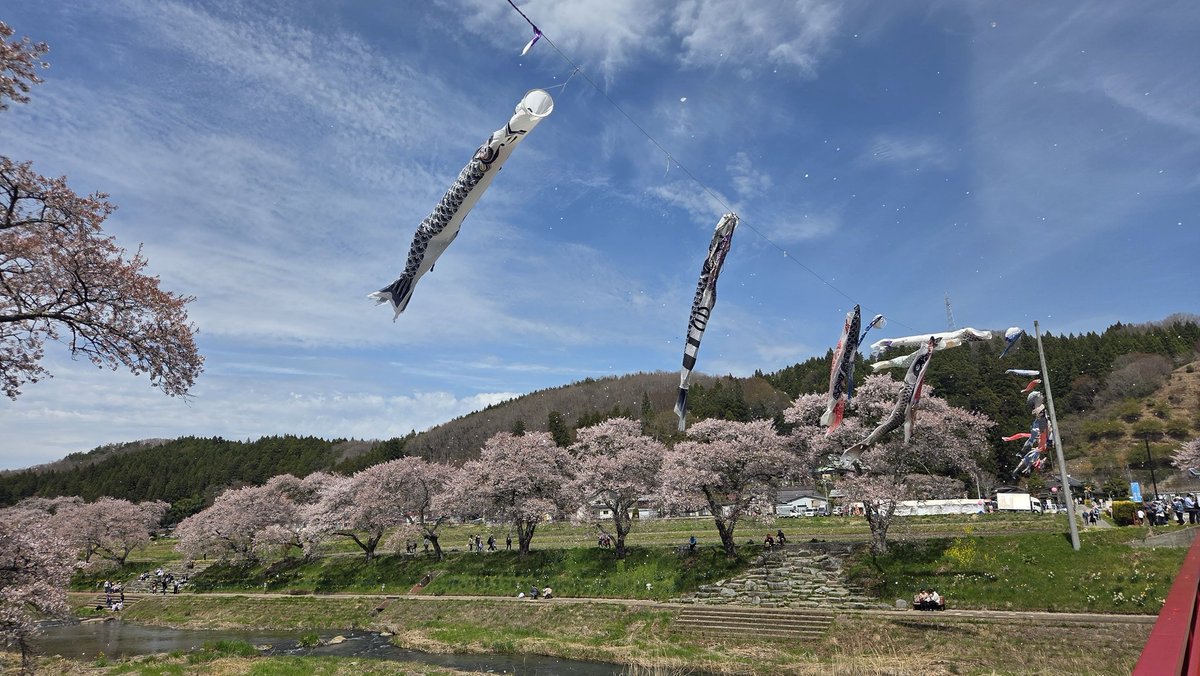 U^ェ^U🐶かえでっち tweet media