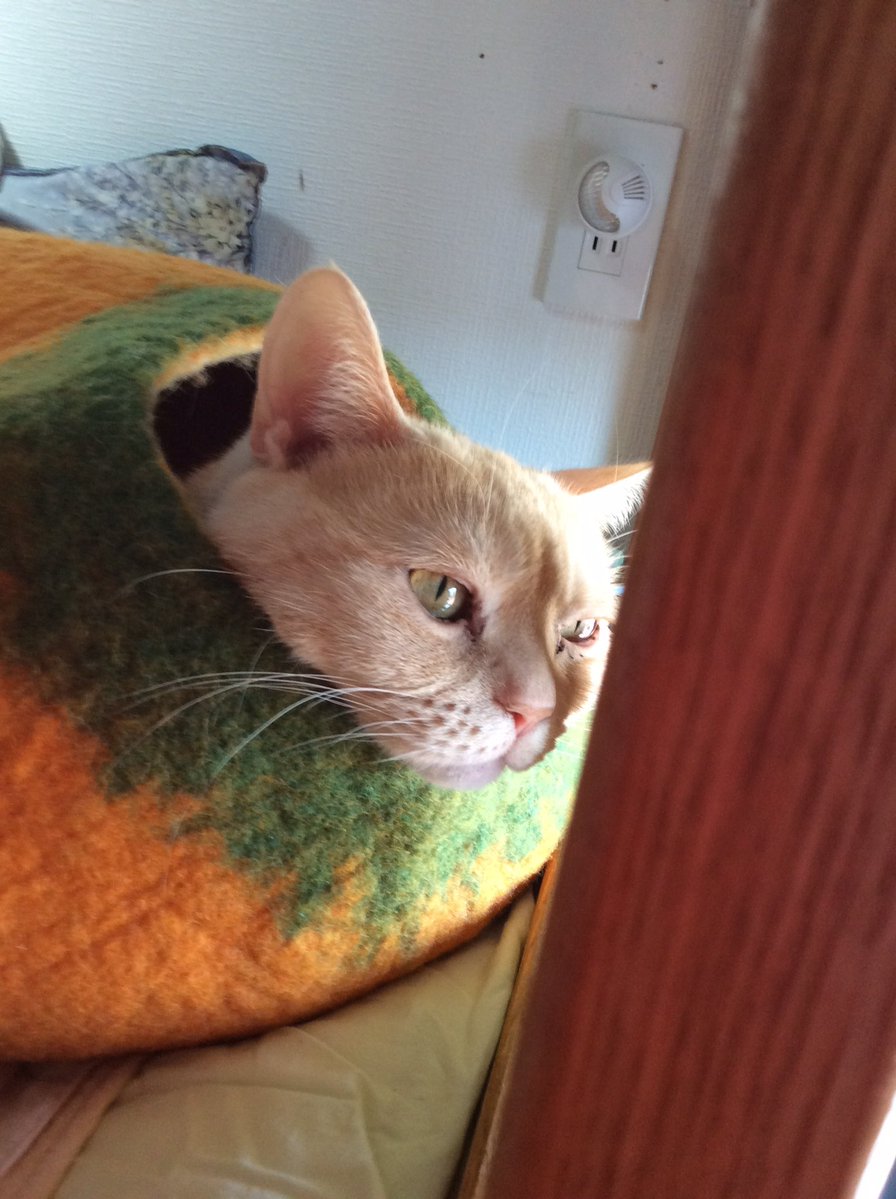 ～*＊masumi＊*～ tweet media