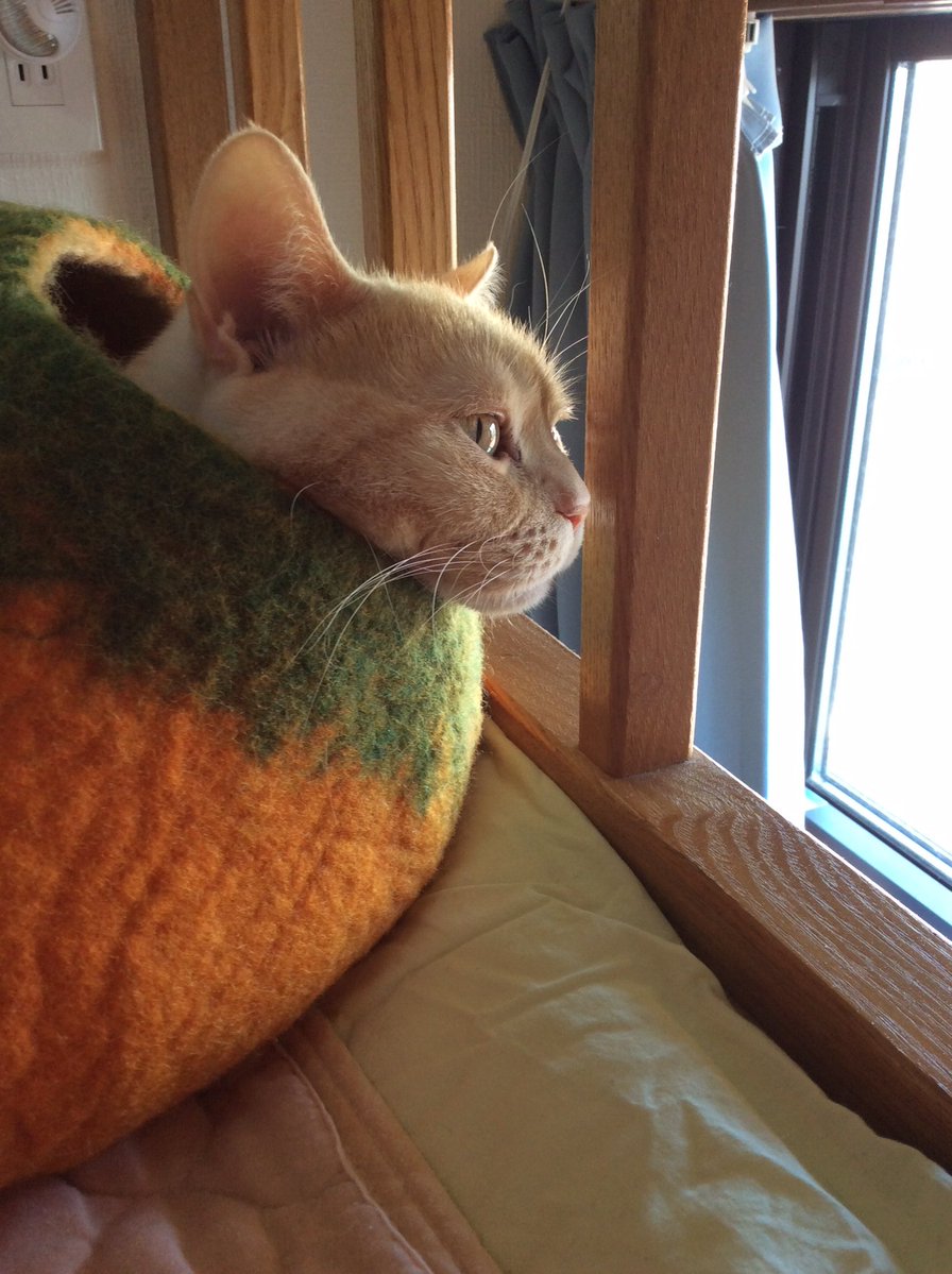 ～*＊masumi＊*～ tweet media