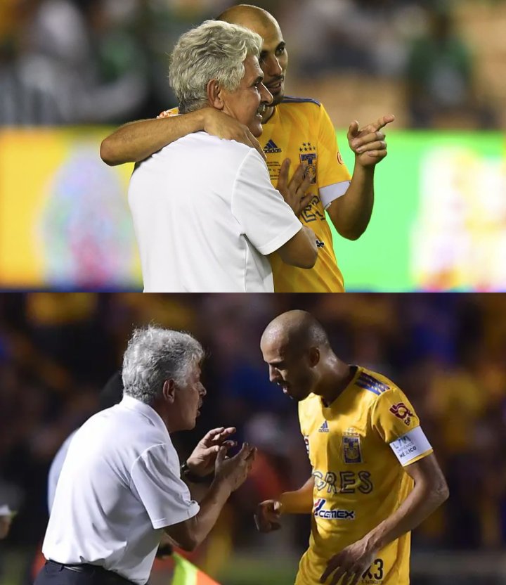 FAFHOO (Oficial) tweet media