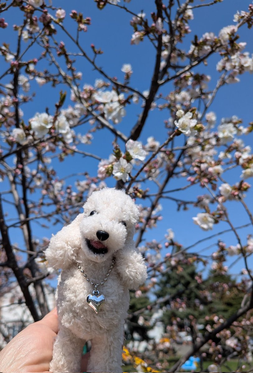 あちゃこ tweet media