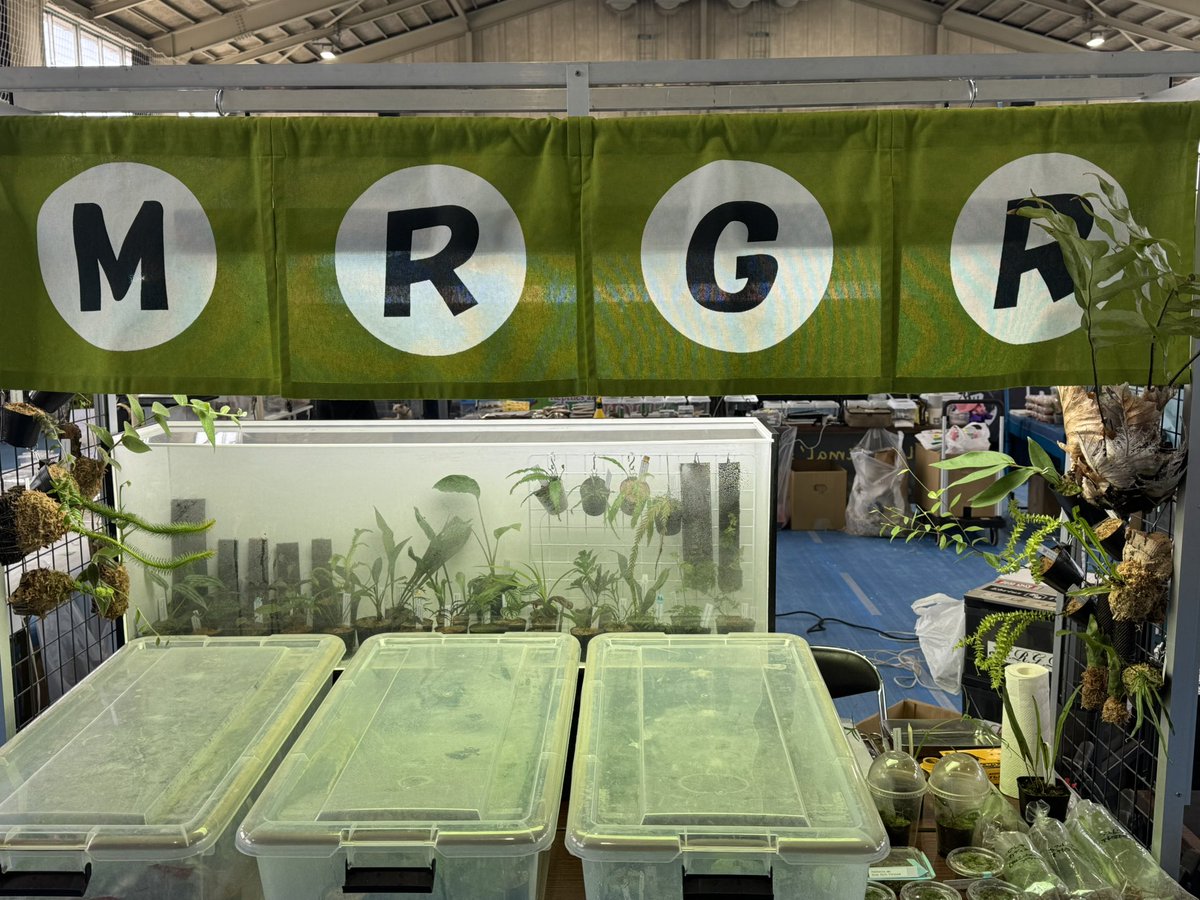 モレ吾郎@M.R.G.R since2020 tweet media