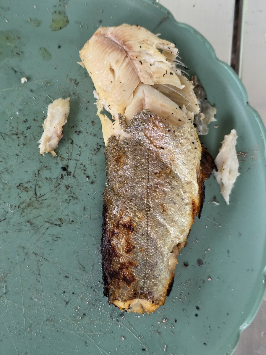 TravelWthLizzie's tweet image. A day of fishing at laurel Hill state park Pennsylvania. Fresh trout on an open camp fire 🔥 

#Fishing #Trout #RainbowTrout