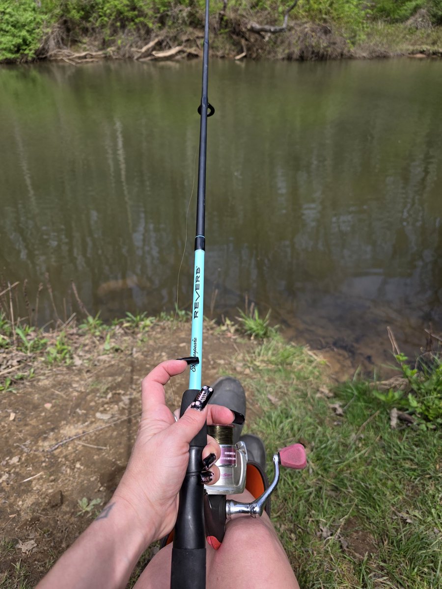 TravelWthLizzie's tweet image. A day of fishing at laurel Hill state park Pennsylvania. Fresh trout on an open camp fire 🔥 

#Fishing #Trout #RainbowTrout