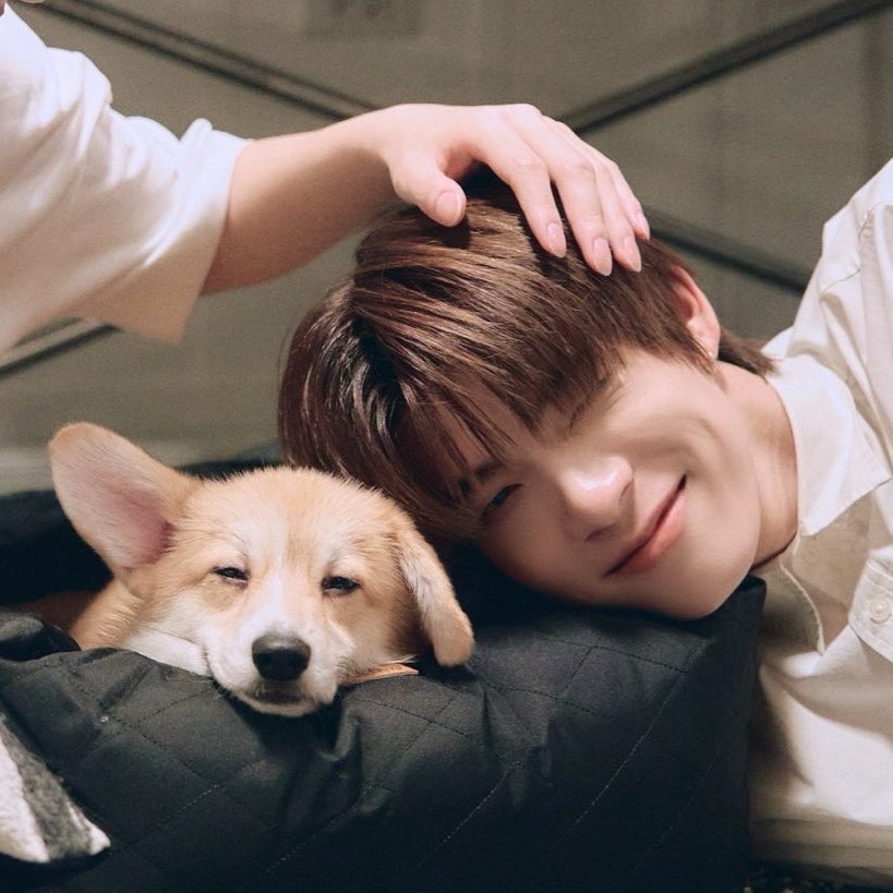 ฮปทต ◡̈ tweet media