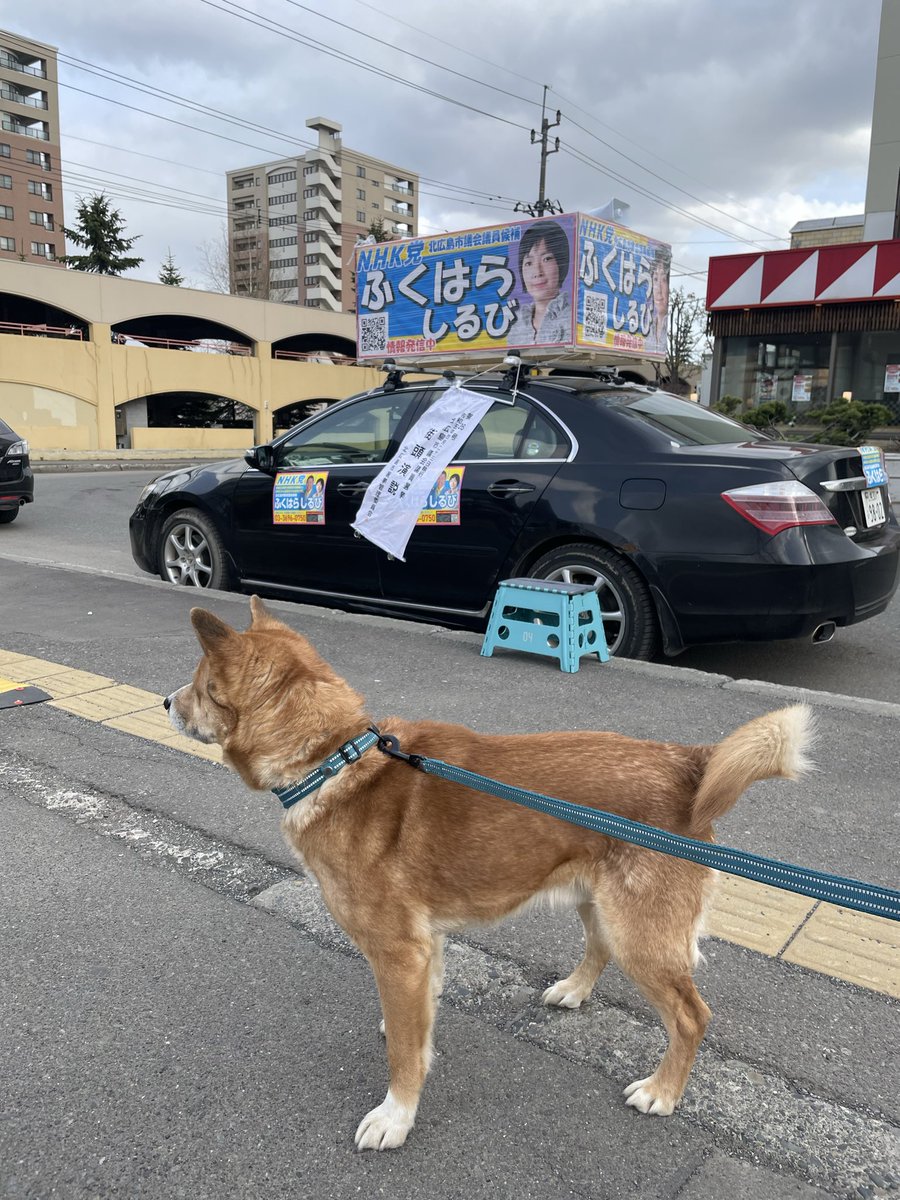 佐藤和人 tweet media