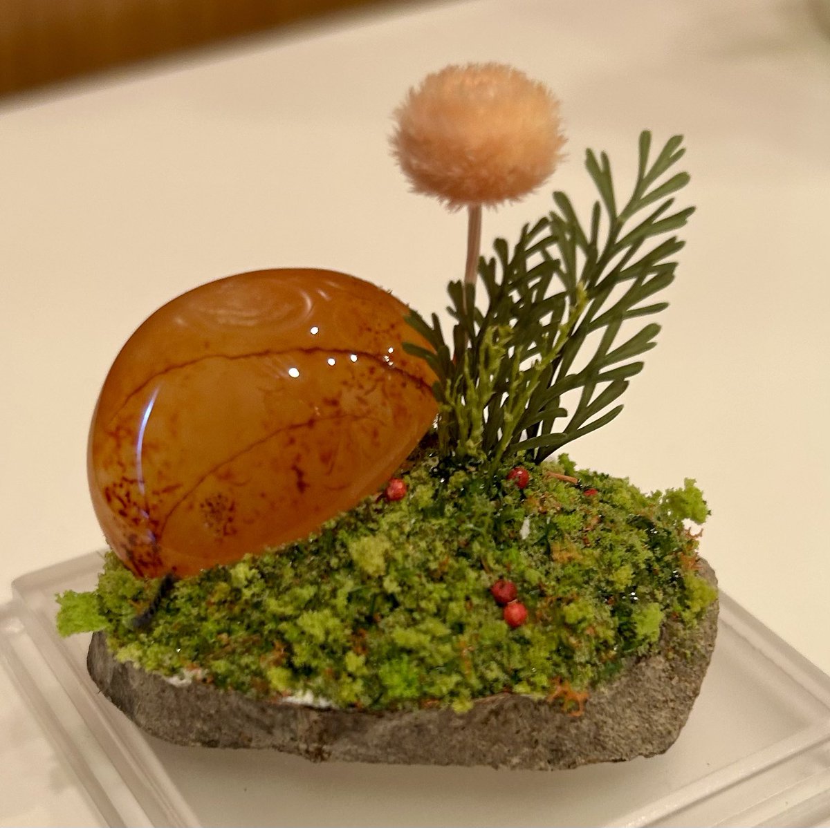 翔由 美凛 tweet media