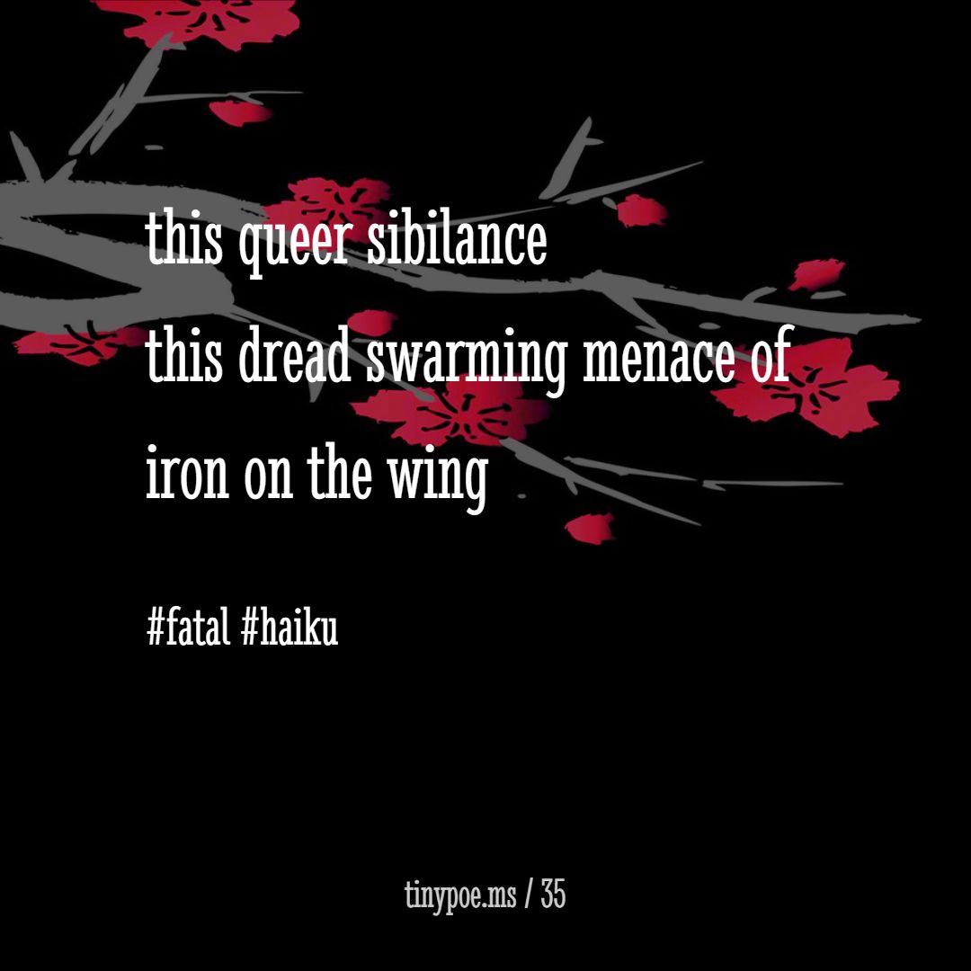 karmaniverous tweet media