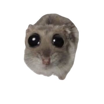 sharkybyte0's tweet photo. @KandleKidArt JUST A GUYYY https://t.co/dOHMfAhz1l