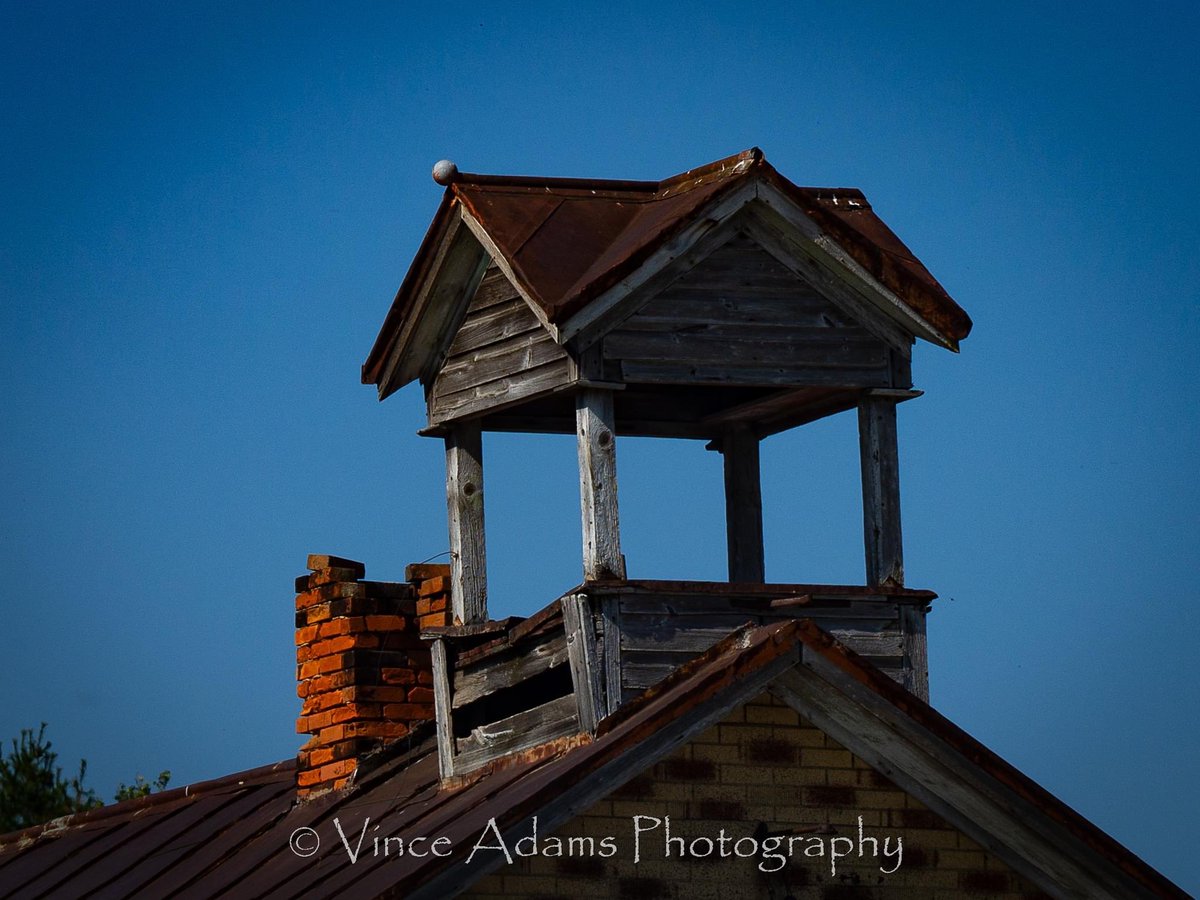 Vince Adams tweet media