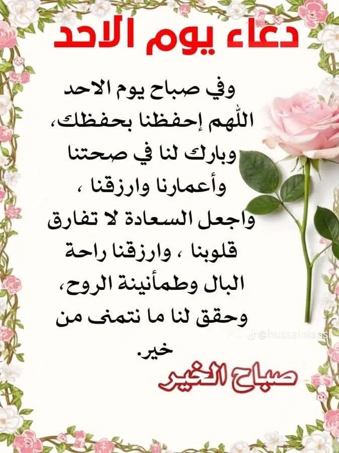 ☪︎ أبونايف tweet media