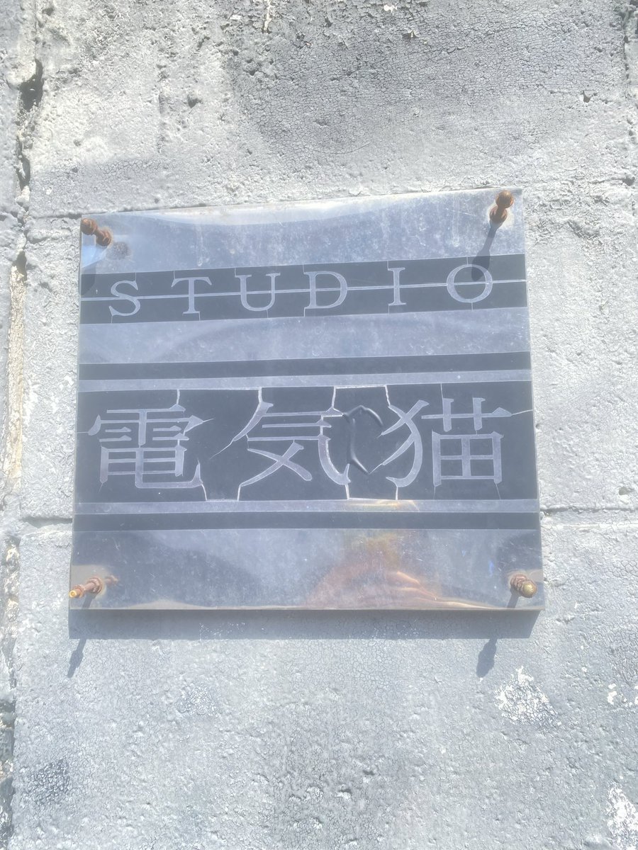橋本塁(サウシュー&STINGRAY&KASVE) tweet media