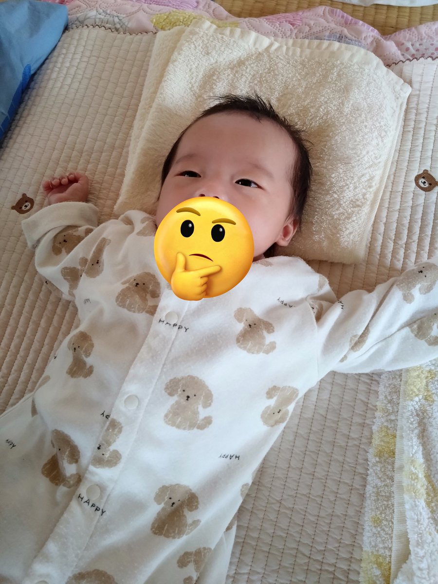 シンフリード tweet media