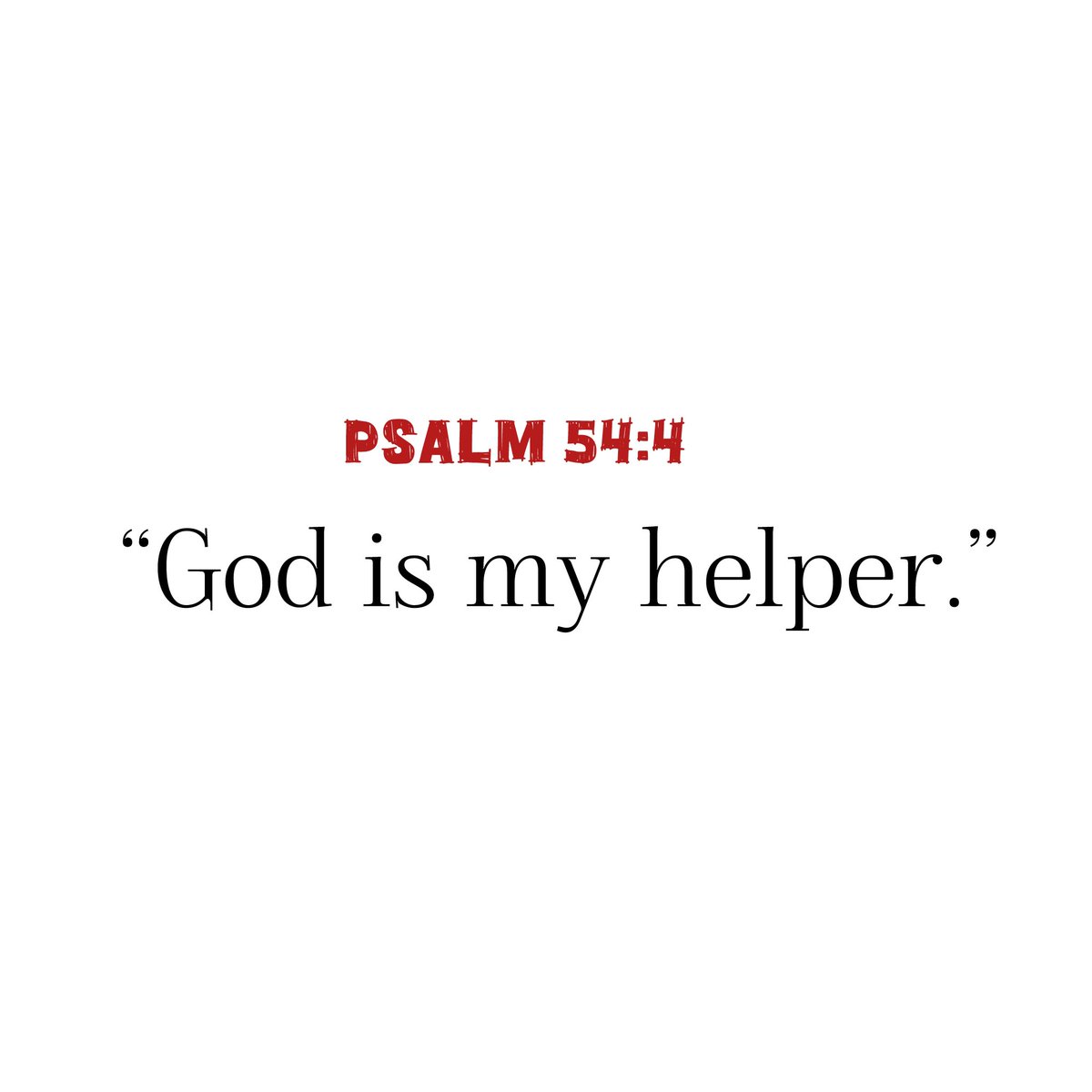 Holy Bible tweet media