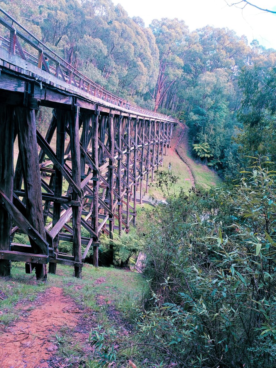 Took a long time to build something this sturdy. <a href="/Ripple/">Ripple</a> 
Now we just wait for the green light. 🚦🌉 #Victoria #Patience #CrossBorder #ripple #hodl #XRP