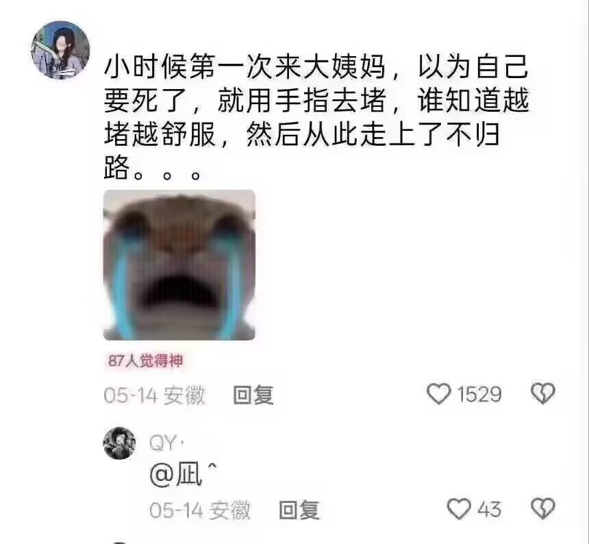 归梦 tweet media