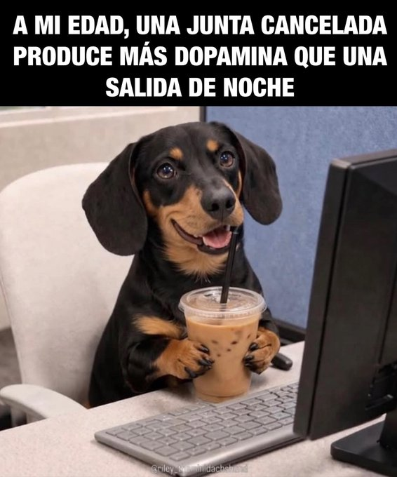 Pensamientos (@frasesimple) on Twitter photo 