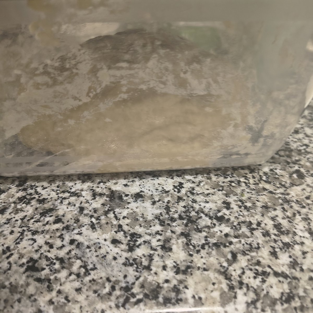 axii is so in love ! tweet media