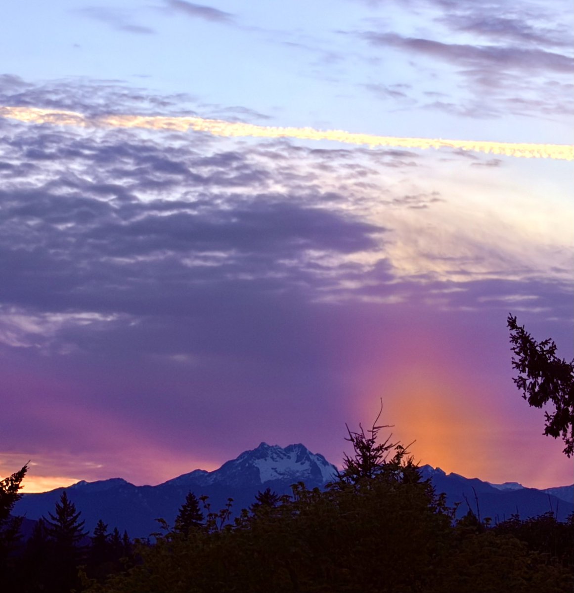 Don Hodun tweet media