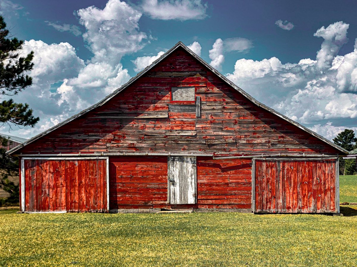 Vince Adams tweet media