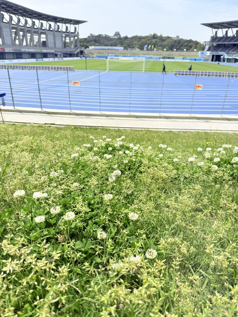 ローディー tweet media