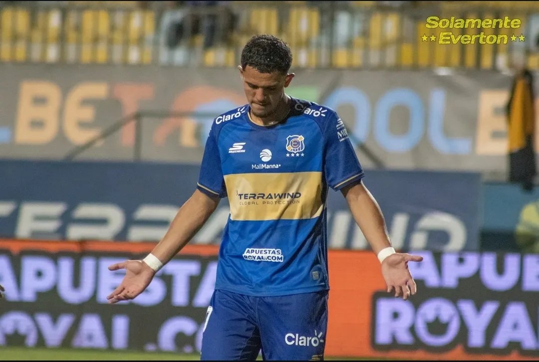 Everdatos tweet media